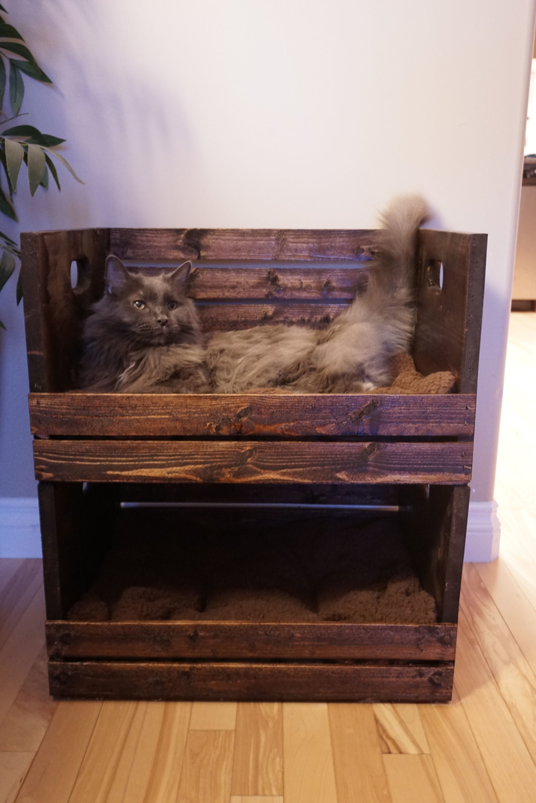 Build Cat Bunk Beds Out Of Crates, Pet Cat Bunk Bed Diy Pallets